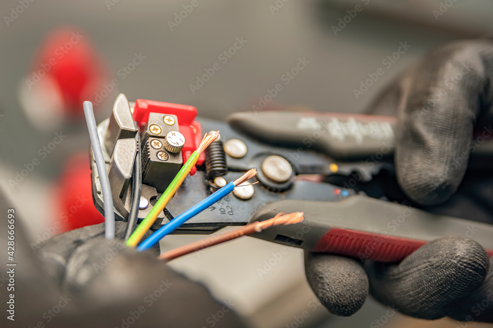 AdobeStock_428666693_Preview